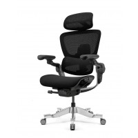 КРІСЛО HINOMI H2 PRO COAL BLACK, ергономічне