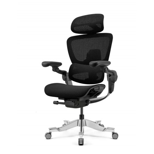 КРІСЛО HINOMI H2 PRO COAL BLACK, ергономічне