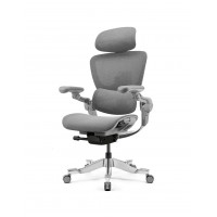 КРІСЛО HINOMI H2 PRO MOON GREY, ергономічне