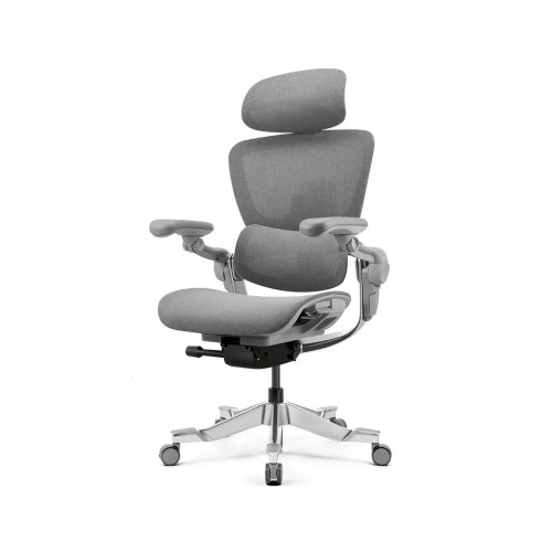 КРІСЛО HINOMI H2 PRO MOON GREY, ергономічне